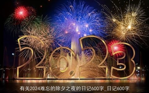 有关2024难忘的除夕之夜的日记600字_日记600字