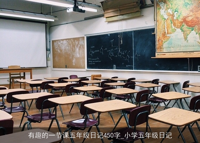 有趣的一节课五年级日记450字_小学五年级日记