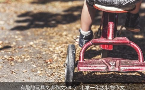 有趣的玩具义卖作文300字_小学一年级状物作文