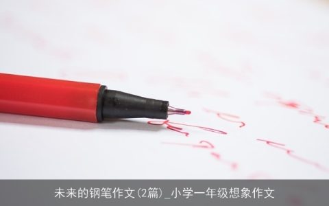 未来的钢笔作文(2篇)_小学一年级想象作文