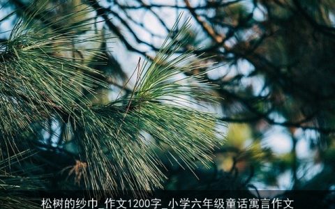 松树的纱巾_作文1200字_小学六年级童话寓言作文