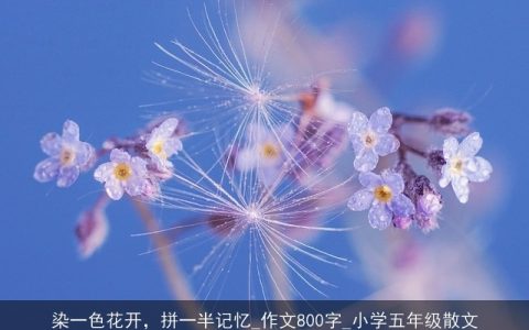 染一色花开，拼一半记忆_作文800字_小学五年级散文