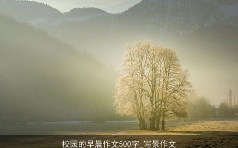 校园的早晨作文500字_写景作文