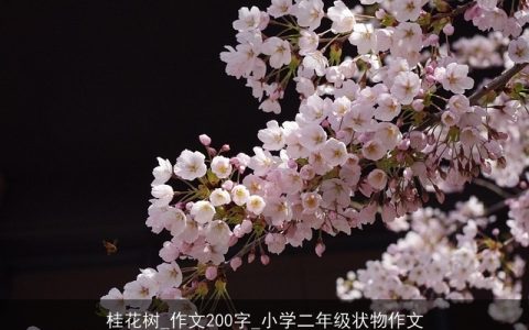 桂花树_作文200字_小学二年级状物作文