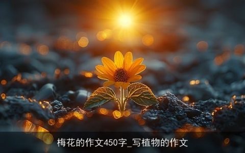 梅花的作文450字_写植物的作文