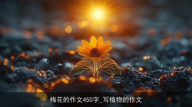 梅花的作文450字_写植物的作文