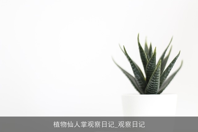 植物仙人掌观察日记_观察日记