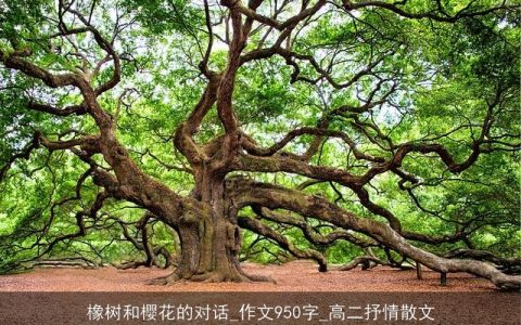 橡树和樱花的对话_作文950字_高二抒情散文