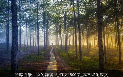 欲睹胜景，须另辟蹊径_作文1500字_高三议论散文