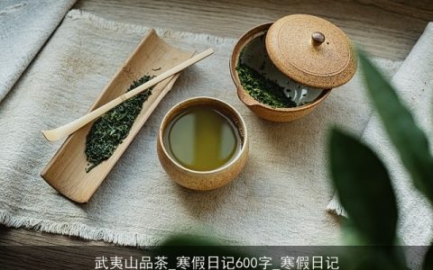 武夷山品茶_寒假日记600字_寒假日记