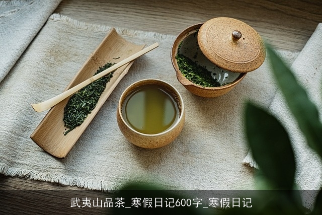 武夷山品茶_寒假日记600字_寒假日记