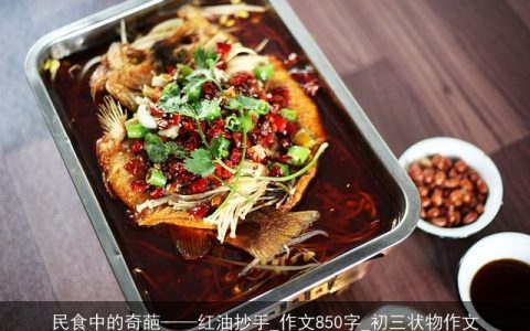 民食中的奇葩——红油抄手_作文850字_初三状物作文