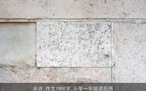 水浒_作文1900字_小学一年级读后感