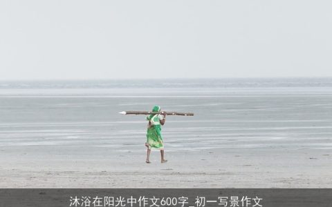 沐浴在阳光中作文600字_初一写景作文