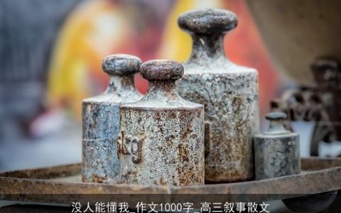 没人能懂我_作文1000字_高三叙事散文