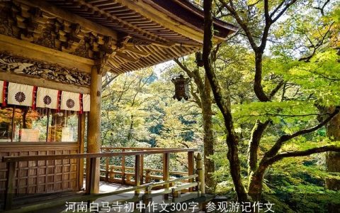 河南白马寺初中作文300字_参观游记作文