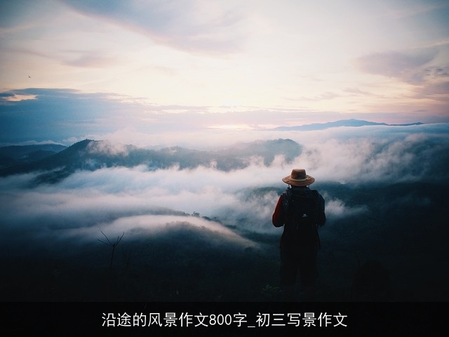 沿途的风景作文800字_初三写景作文