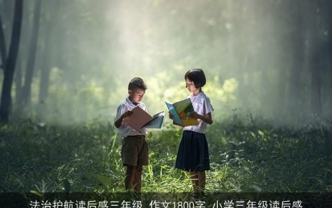 法治护航读后感三年级_作文1800字_小学三年级读后感