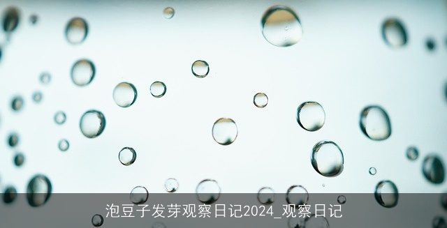 泡豆子发芽观察日记2024_观察日记