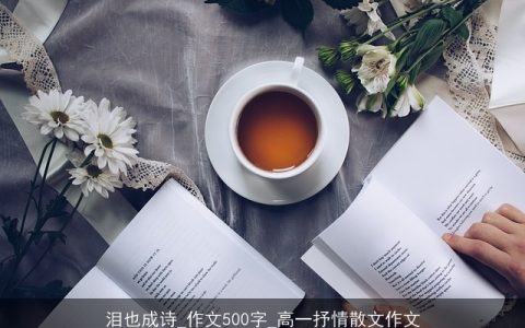 泪也成诗_作文500字_高一抒情散文作文