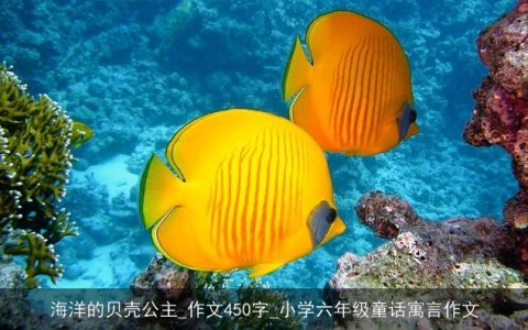 海洋的贝壳公主_作文450字_小学六年级童话寓言作文