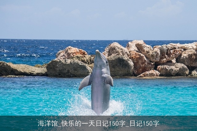 海洋馆_快乐的一天日记150字_日记150字