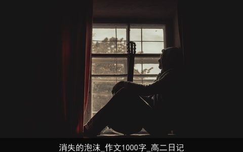 消失的泡沫_作文1000字_高二日记