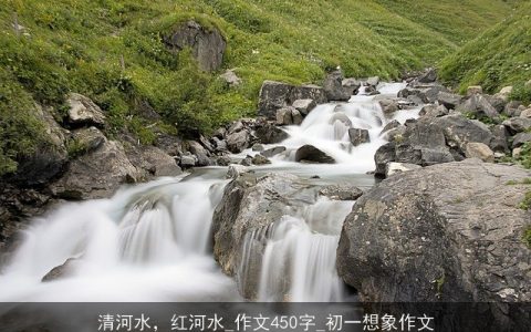 清河水，红河水_作文450字_初一想象作文