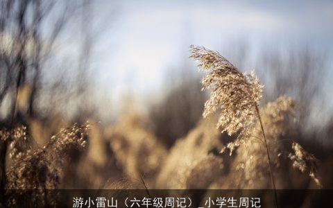 游小雷山（六年级周记）_小学生周记