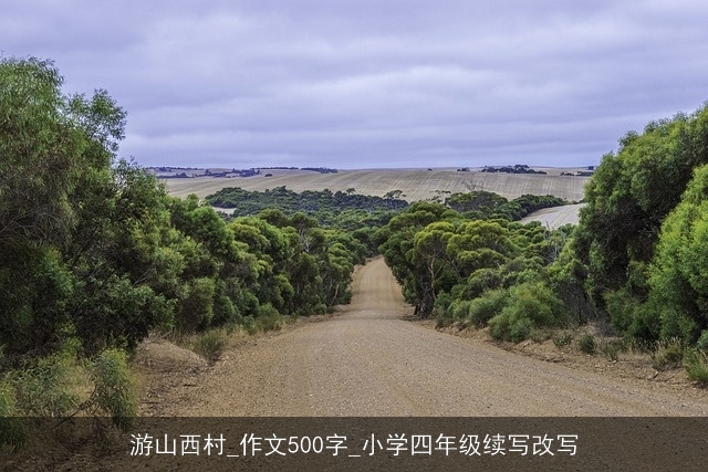 游山西村_作文500字_小学四年级续写改写