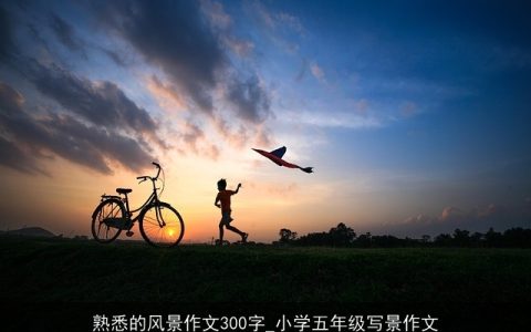 熟悉的风景作文300字_小学五年级写景作文