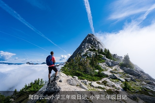 爬白云山小学三年级日记_小学三年级日记