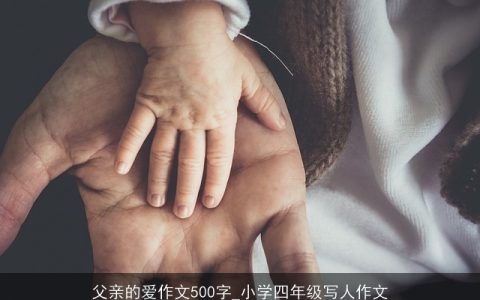 父亲的爱作文500字_小学四年级写人作文