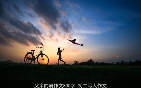 父亲的肩作文800字_初二写人作文