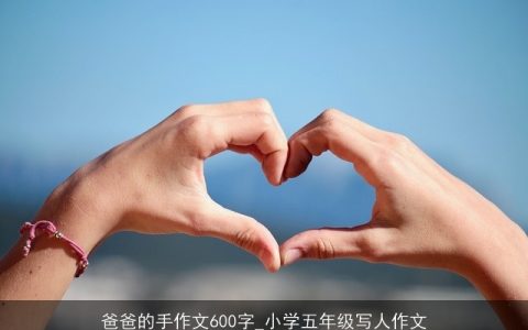 爸爸的手作文600字_小学五年级写人作文