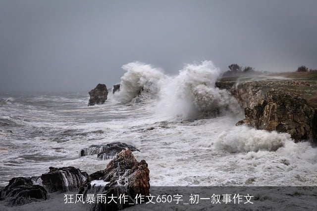 狂风暴雨大作_作文650字_初一叙事作文