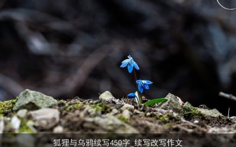 狐狸与乌鸦续写450字_续写改写作文