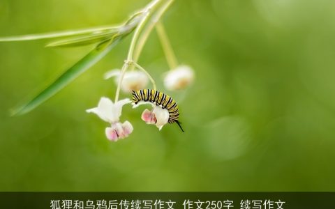 狐狸和乌鸦后传续写作文_作文250字_续写作文