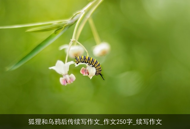 狐狸和乌鸦后传续写作文_作文250字_续写作文