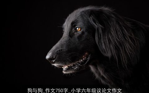 狗与狗_作文750字_小学六年级议论文作文