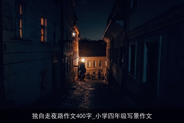 独自走夜路作文400字_小学四年级写景作文