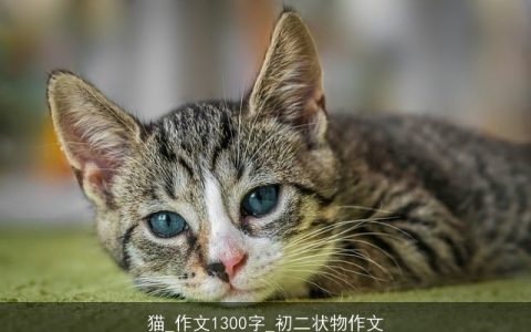 猫_作文1300字_初二状物作文