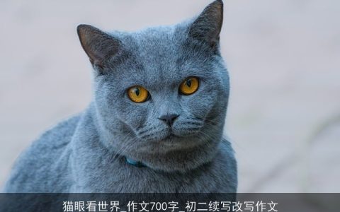 猫眼看世界_作文700字_初二续写改写作文