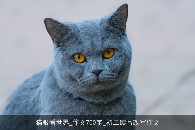 猫眼看世界_作文700字_初二续写改写作文