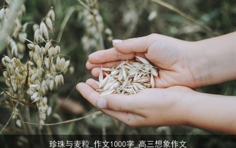 珍珠与麦粒_作文1000字_高三想象作文