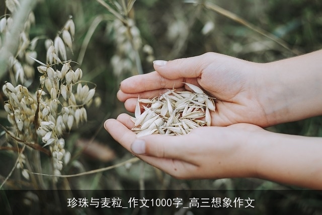 珍珠与麦粒_作文1000字_高三想象作文