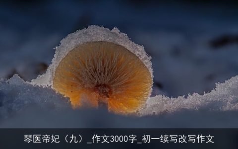 琴医帝妃（九）_作文3000字_初一续写改写作文