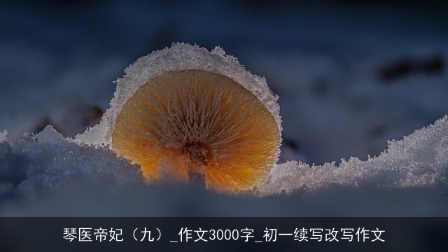 琴医帝妃（九）_作文3000字_初一续写改写作文