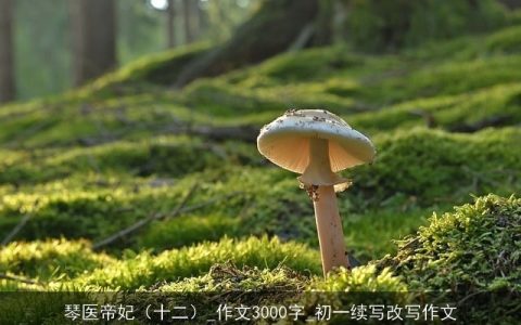 琴医帝妃（十二）_作文3000字_初一续写改写作文