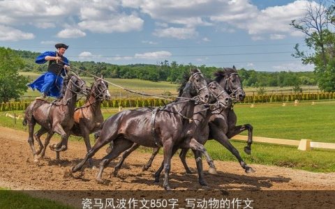 瓷马风波作文850字_写动物的作文